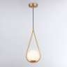 Подвесной светильник Ambrella Light TR2599