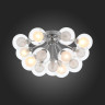 Накладная люстра ST-Luce SL431.102.15