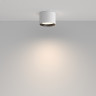 Влагозащищенный светильник Maytoni Technical C127CL-L7W4K-W