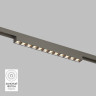Светильник на шине Denkirs DK5771-DN