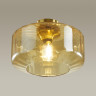 Накладной светильник Odeon Light 4747/1C