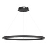 Подвесной светильник ST-Luce SL6238.443.01