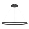 Подвесной светильник ST-Luce SL6238.443.01