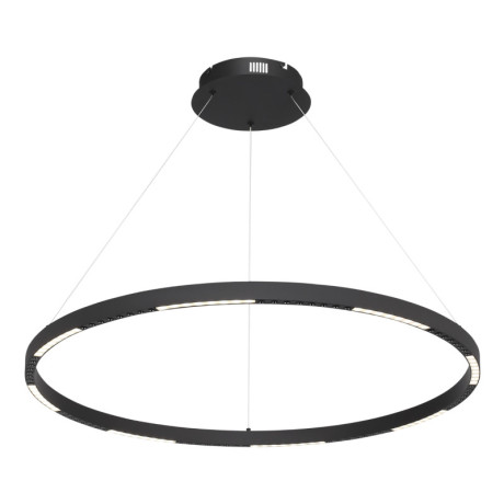 Подвесной светильник ST-Luce SL6238.443.01