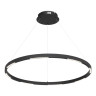 Подвесной светильник ST-Luce SL6238.443.01