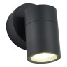 Светильник настенный ST-Luce SL9008.701.01
