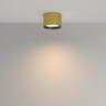Влагозащищенный светильник Maytoni Technical C127CL-L7W4K-BS