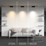 Светильник на шине Maytoni Technical TR194-1-12W4K-M-B