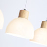 Подвесной светильник Ambrella Light TR83135