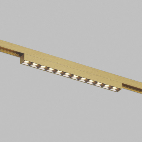 Светильник на шине Denkirs DK5971-SB