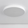 Накладной светильник Citilux CL72495G0