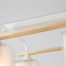 Люстра на штанге Ambrella Light TR303324