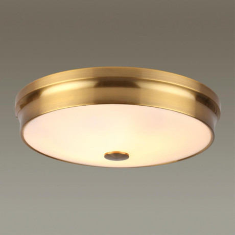 Накладной светильник Odeon Light 4824/4C