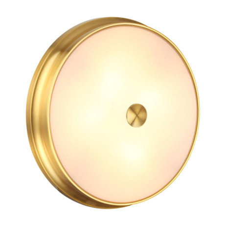Накладной светильник Odeon Light 4824/4C