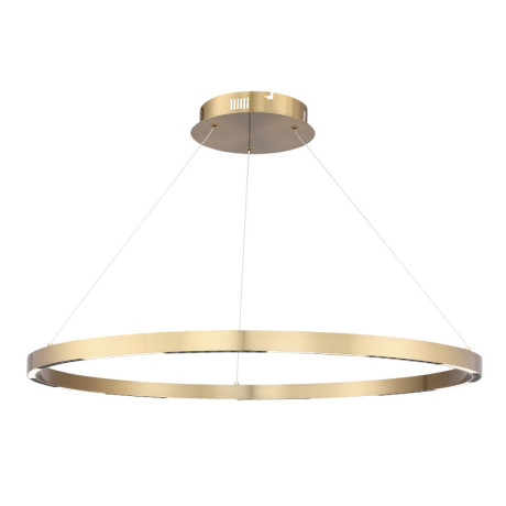Подвесной светильник ST-Luce SL6238.343.01