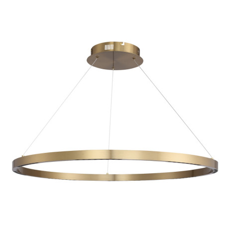 Подвесной светильник ST-Luce SL6238.343.01