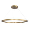 Подвесной светильник ST-Luce SL6238.343.01