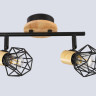 Накладной светильник Ambrella Light TR8752
