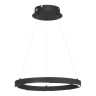 Подвесной светильник ST-Luce SL6238.423.01