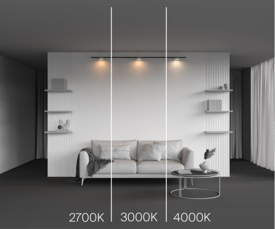 Светильник на шине Maytoni Technical TR189-1-12W2.7K-BW