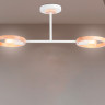 Люстра на штанге Ambrella Light TR8243