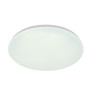 Накладной светильник Escada 10213/SG LED