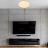 Накладной светильник Escada 10213/SG LED