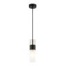 Подвесной светильник Ambrella Light LH55101