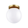 Накладной светильник Odeon Light 4247/1C