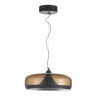 Подвесной светильник ST-Luce SL6014.603.01