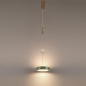 Подвесной светильник Odeon Light 5450/32LA