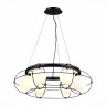 Подвесная люстра ST-Luce SL1189.403.06