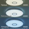 Накладной светильник Citilux CL703A80G