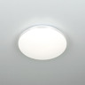 Накладной светильник Citilux CL71424SV