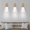 Подвесной светильник Ambrella Light TR3669
