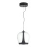 Подвесной светильник ST-Luce SL6014.423.01