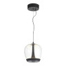 Подвесной светильник ST-Luce SL6014.423.01