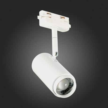 Светильник на шине ST-Luce ST600.546.12