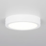 Накладной светильник Citilux CL5516N