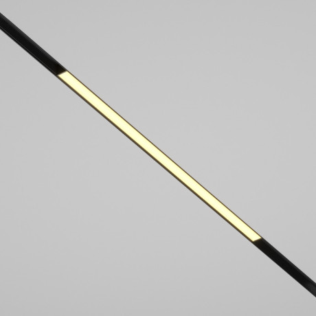 Светильник на шине Maytoni Technical TR030-2-24W2.7K-B