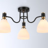 Накладная люстра Ambrella Light TR303303