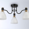 Накладная люстра Ambrella Light TR303303