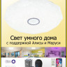 Накладной светильник Citilux CL713A100G