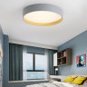 Накладной светильник ImperiumLoft 224021-23