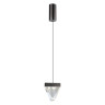 Подвесной светильник Odeon Light 6677/5L