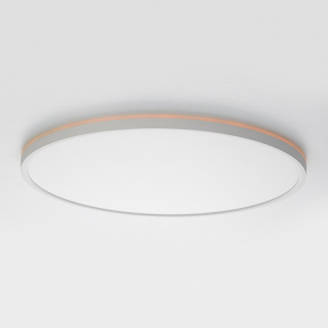 Накладной светильник Citilux CL749500