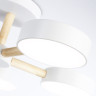 Люстра на штанге Ambrella Light FL4825