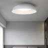 Накладной светильник ImperiumLoft 224027-23