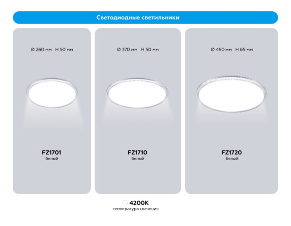 Накладной светильник Ambrella Light FZ1710