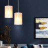 Подвесной светильник Ambrella Light TR3681